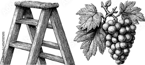 Vintage sketch of stepladder and vine with empty canvas for creative design