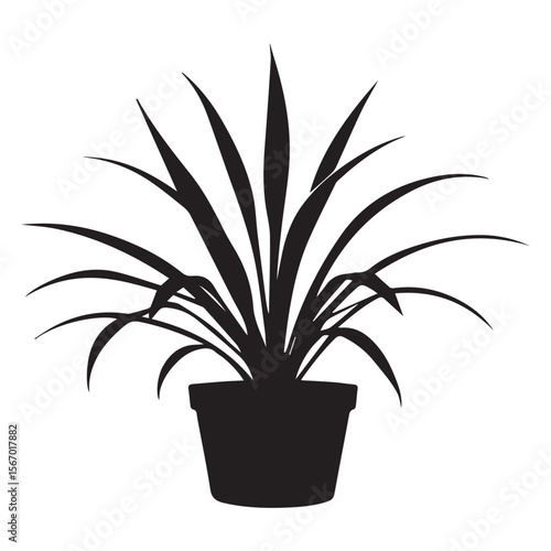 Silhouette of a lush green houseplant with long spiky leaves in a simple pot