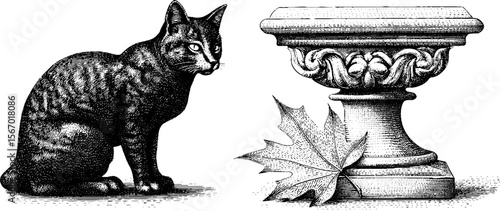 Vintage stray cat under stone bench with windblown leaf illustration for retro design