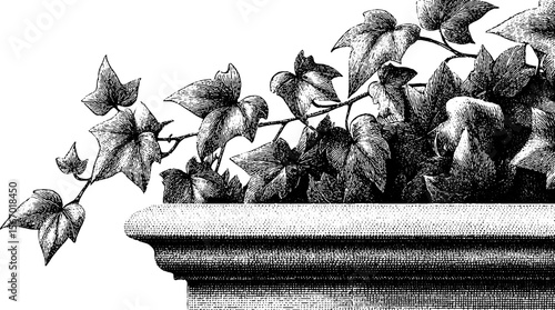 Vintage engraving of ivy bound parapet with sunken watchtower base for retro design