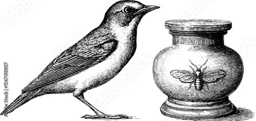 Vintage taxidermy bird with specimen jar and entomology illustration for retro decor