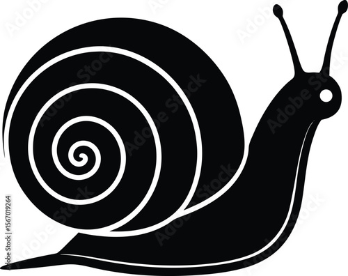 snail on white background.eps