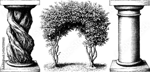 Vintage tree root wrapped pillar and mossy courtyard sketch for retro design