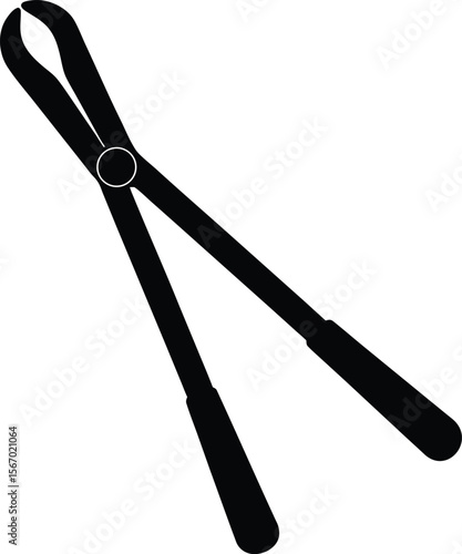 tongs on white background.eps