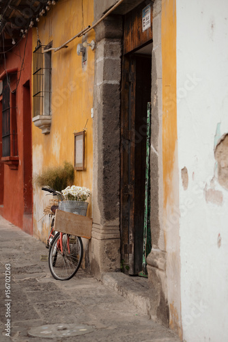Bicicleta apoya en la pared con flores