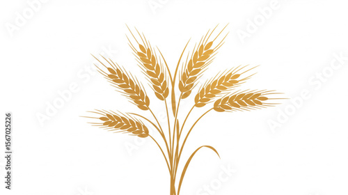 Golden wheat ears gracefully arranged create a natural element ideal for farm branding, harvest themes, or organic product packaging.
