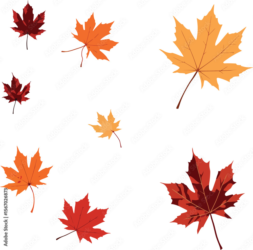 Colorful autumn maple leaves isolated on white background Colorful autumn maple leaves isolated on white background
