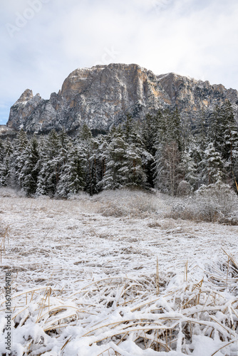Wallpaper Mural A snowy mountain range with trees in the foreground Torontodigital.ca