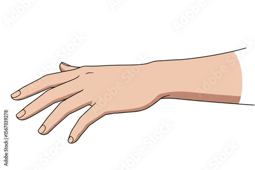 Graphic artwork showing an isolated hand in perspective, a simple, scalable anatomical element ideal for design projects and diagrams.