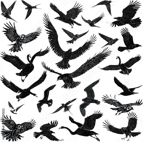 Obraz na plátně twenty five birds sketches on white background