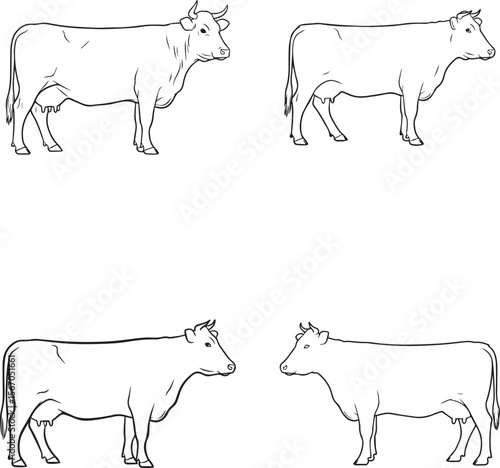 vector illustration of cow and calf