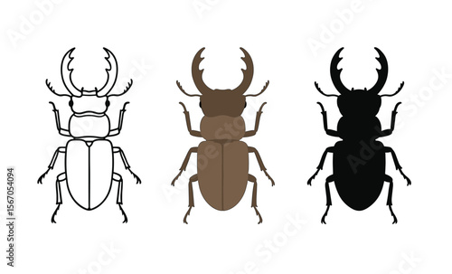 Detailed stag beetle depictions in outline, brown, and silhouette styles