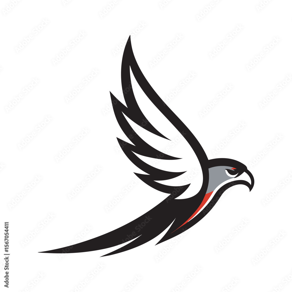 Fototapeta premium Falcon Swooping With Feather Trail