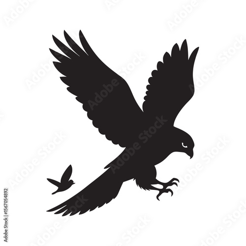 Mid Air Falcon Grabbing Prey Silhouette