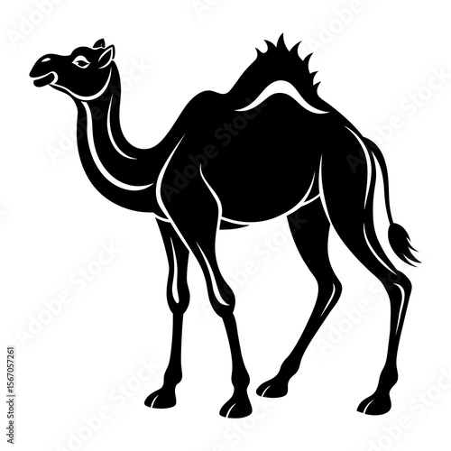 camel on a white background