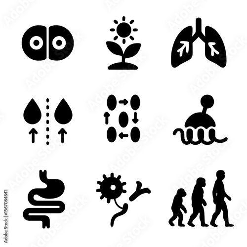 Biological Processes Icons. Solid, filled icon set of biological processes: cell division, photosynthesis, respiration, osmosis,