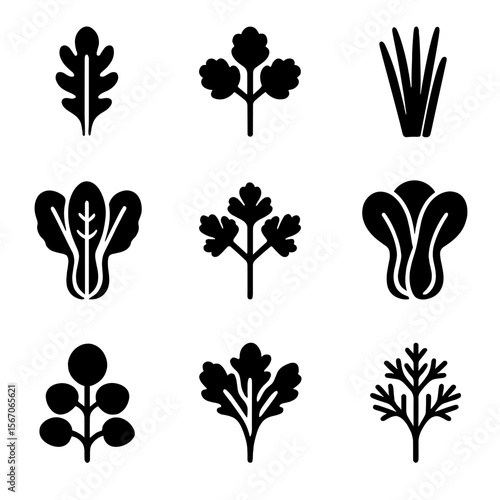 Aquaponic Plant Icons. Solid, filled icons set of aquaponic plant varieties: arugula, cilantro, chives, Swiss