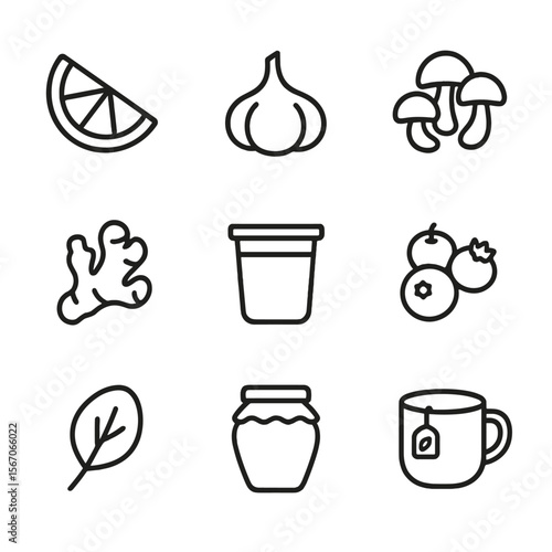Immune-Boosting Foods Icons. Outline icon set of immune-boosting foods: citrus wedge, garlic bulb, ginger root, mushroom cluster,