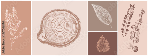 Pink tan and brown floral prints of botanical illustration and tree rings. Decorative set of flowers and leaves pressed or stamped.