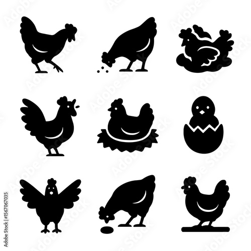 Chicken Activity Icons. Solid, filled icons set of chicken behavior and activity: scratching, pecking, dust