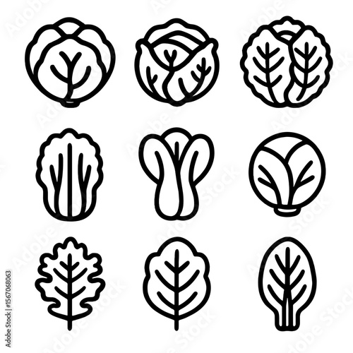 Cabbage Icon Set. Solid, filled icon set of cabbage varieties: green cabbage, red cabbage, savoy cabbage, napa cabbage, bok choy,