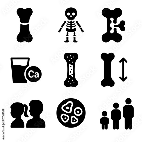 Bone Growth Icons. Solid, filled icons set of bone development and growth: growth plate, child skeleton,