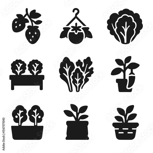 Edible Garden Icons. Solid, filled icons set of edible vertical gardens: strawberry plant, hanging tomato,