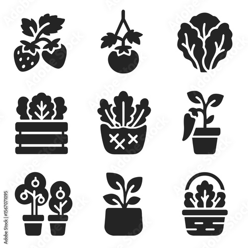 Edible Garden Icons. Solid, filled icons set of edible vertical gardens: strawberry plant, hanging tomato,
