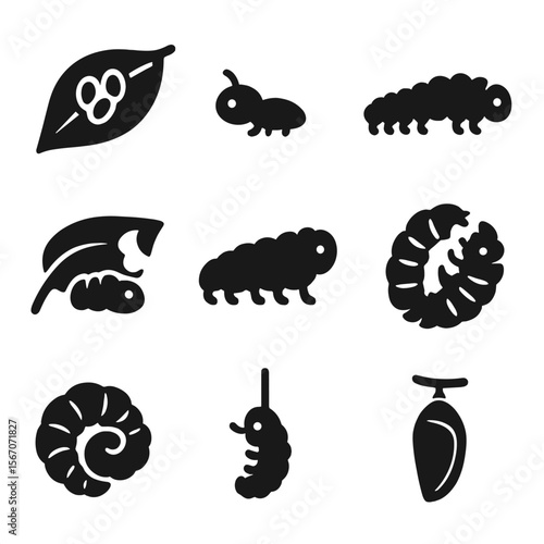 Caterpillar Life Cycle Icons. Solid, filled icons set of life of a caterpillar: egg on leaf, tiny hatchling,