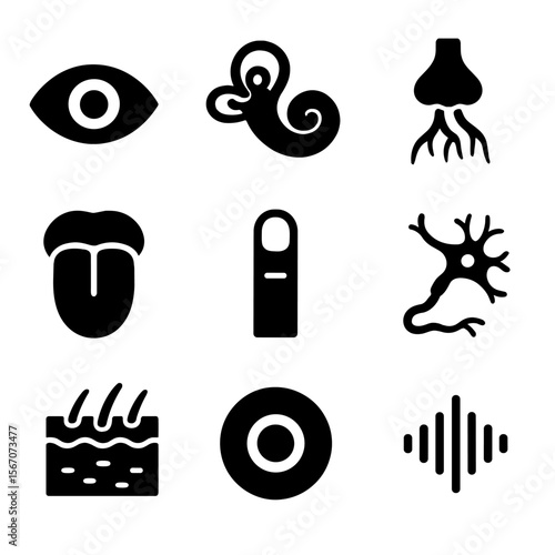 Sensory Organs Icons. Solid, filled icons set of sensory organs: eyeball, cochlea, olfactory bulb, tongue,
