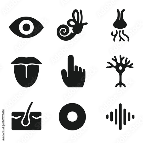 Sensory Organs Icons. Solid, filled icons set of sensory organs: eyeball, cochlea, olfactory bulb, tongue,