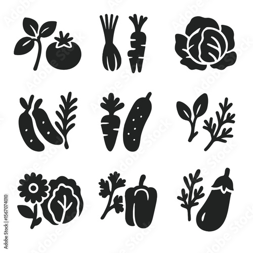 Companion Planting Icons. Solid, filled icon set of companion planting with herbs: basil and tomato, chives and carrots, mint and