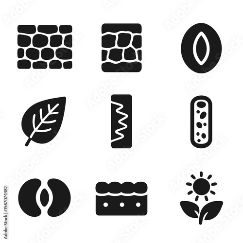 Leaf Anatomy Icons. Solid, filled icons set of parts of a leaf involved in food making: epidermis layer,