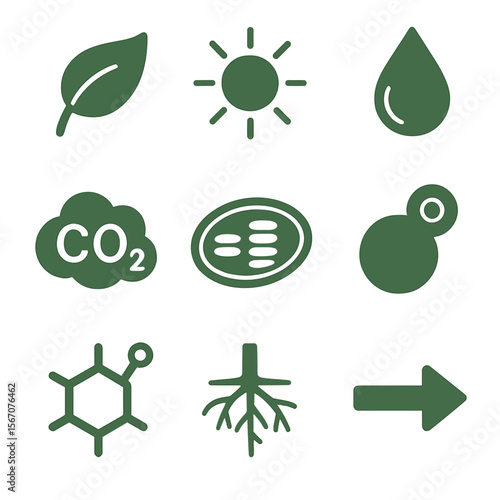 Plant Photosynthesis Icons. Solid, filled icons set of how plants make their food: green leaf, sunlight icon,