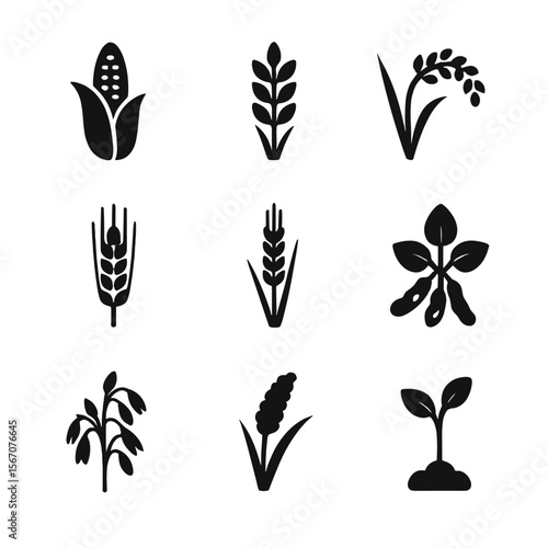 Dawn Crop Icons. Solid, filled icon set of crops at dawn: corn stalk, wheat head, rice plant, barley cluster, rye grass, soybean