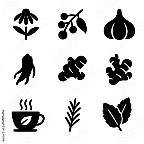Herbal Immunity Icons. Solid, filled icon set of herbal immunity boosters: echinacea, elderberry, garlic, ginseng, turmeric,