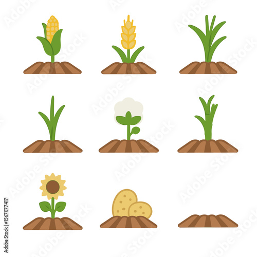 Crop Icon Grid. Flat icon set of crop row furrows: corn stalk, wheat ear, soybean plant, rice seedling, cotton boll, sugarcane