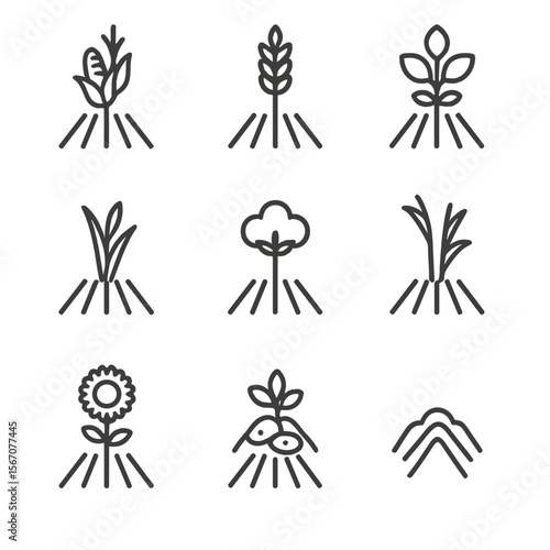 Crop Icon Grid. Outline icon set of crop row furrows: corn stalk, wheat ear, soybean plant, rice seedling, cotton boll, sugarcane