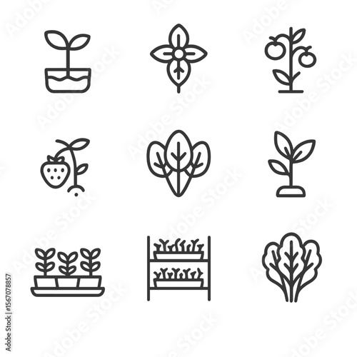 Aquaponic Icons Grid. Outline icon set of aquaponic plant cultivation: lettuce seedling, basil sprig, tomato vine, strawberry