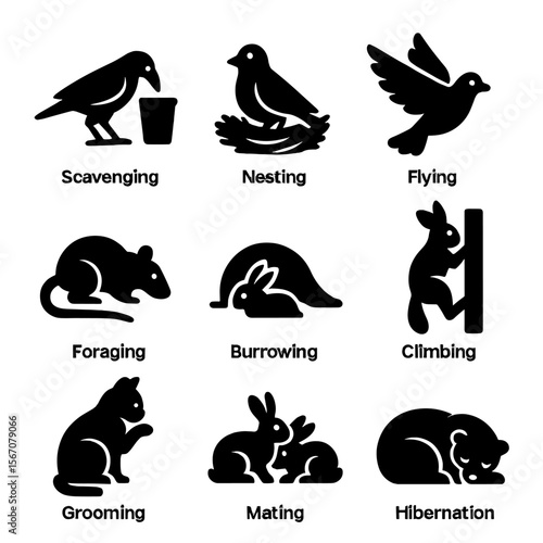 Urban Animal Behaviors. Solid, filled icons set of common urban animal behaviors: scavenging, nesting, flying,