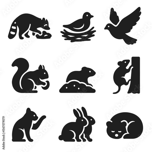 Urban Animal Behaviors. Solid, filled icons set of common urban animal behaviors: scavenging, nesting, flying,