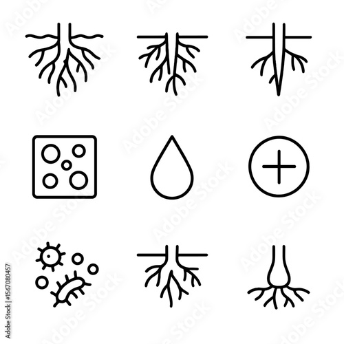 Root Growth Icons. Outline icon set of root growth in furrows: root network, root hair, taproot, lateral root, soil pore, moisture