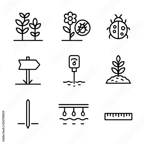 Companion Planting Icons. Outline icon set of companion planting rows: plant pair silhouettes, insect-repellent flower, beneficial
