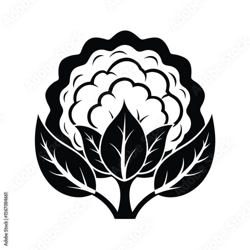 Black and white line art illustration of cauliflower with leaves vegetable food