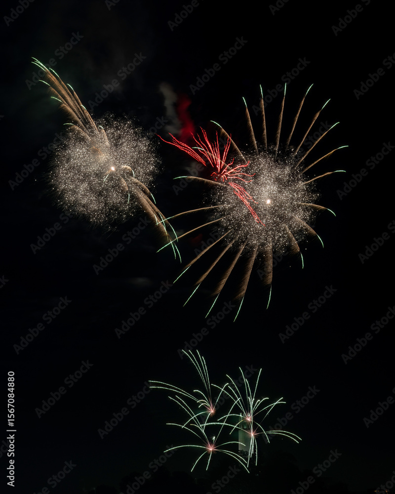 Obraz premium 4th of July Fireworks over San Francisco, California 