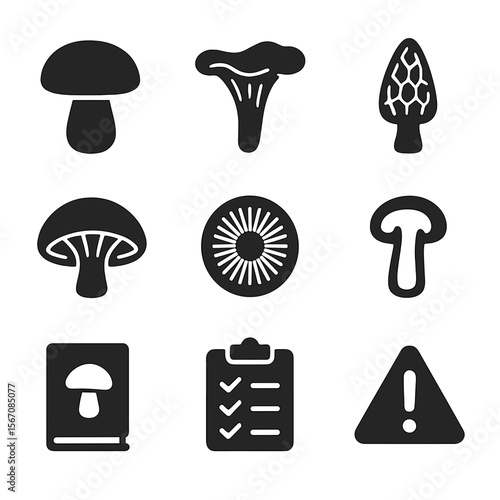 Edible Fungi Icons Set. Solid, filled icons set of edible fungi identification: boletus icon, chanterelle,