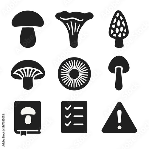 Edible Fungi Icons Set. Solid, filled icons set of edible fungi identification: boletus icon, chanterelle,