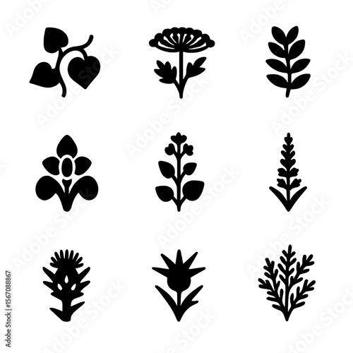 Invasive Plant Icons. Solid, filled icon set of invasive plant species: kudzu, giant hogweed, Japanese knotweed, water hyacinth,