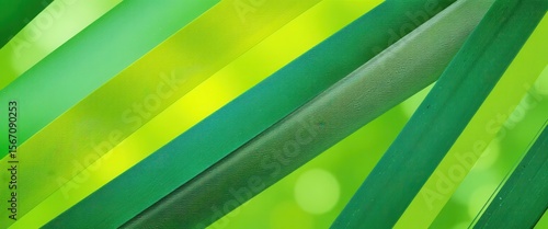 Vibrant green abstract background for computer monitors featuring striped textures