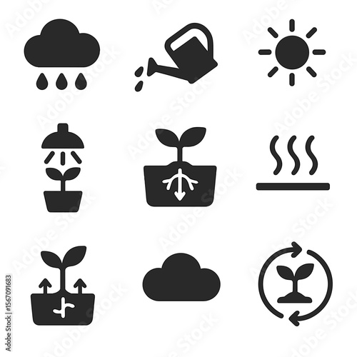 Growth Cycle Icons. Solid, filled icons set of water and light in germination: rain icon, watering can,